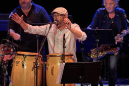 Pan Vaca, Concert