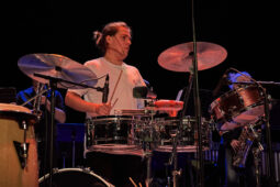 Pan Vaca, Concert