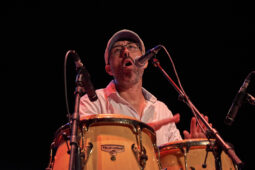 Pan Vaca, Concert