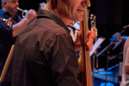 Pan Vaca, Concert