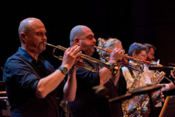 Pan Vaca, Concert