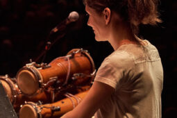 Pan Vaca, Concert