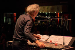 Pan Vaca, Concert