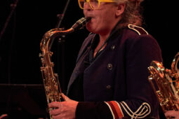 Pan Vaca, Concert