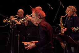 Pan Vaca, Concert