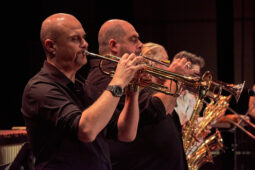 Pan Vaca, Concert