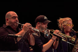 Pan Vaca, Concert