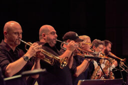 Pan Vaca, Concert