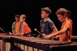 Pan Vaca, Concert
