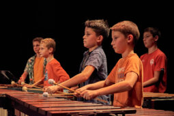 Pan Vaca, Concert