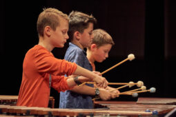 Pan Vaca, Concert