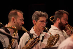 Pan Vaca, Concert