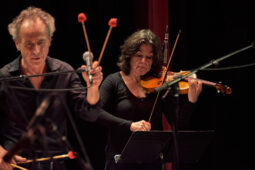 Pan Vaca, Concert
