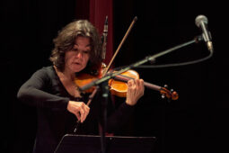 Pan Vaca, Concert