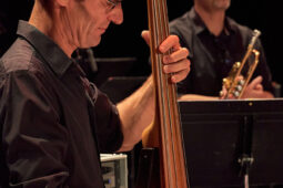 Pan Vaca, Concert