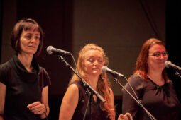 Pan Vaca, Concert