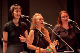 Pan Vaca, Concert