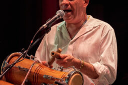 Pan Vaca, Concert