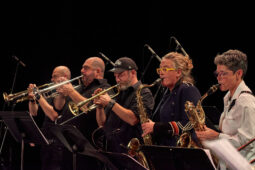 Pan Vaca, Concert