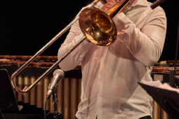 Pan Vaca, Concert