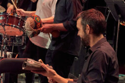 Pan Vaca, Concert