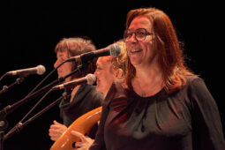 Pan Vaca, Concert