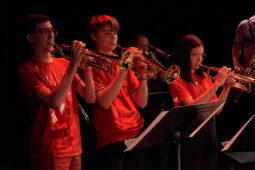 Pan Vaca, Concert