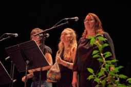 Pan Vaca, Concert