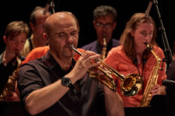 Pan Vaca, Concert