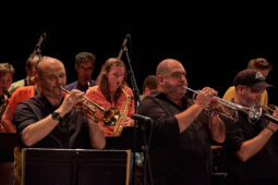 Pan Vaca, Concert