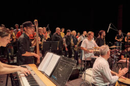 Pan Vaca, Concert