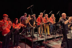 Pan Vaca, Concert
