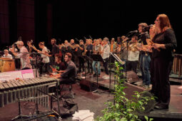 Pan Vaca, Concert