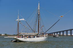 Débord de Loire, Evenement, Bateau, Biche