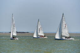 Débord de Loire, Evenement, Bateau