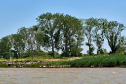Débord de Loire, Evenement