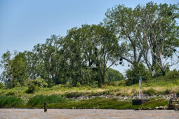 Débord de Loire, Evenement