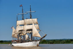 Débord de Loire, Evenement, Bateau, Le Francais