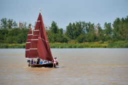 Débord de Loire, Evenement, Bateau