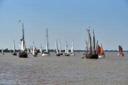 Débord de Loire, Evenement, Bateau