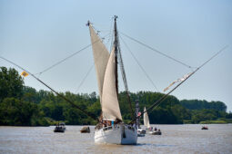 Débord de Loire, Evenement, Bateau, Biche