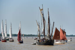 Débord de Loire, Evenement, Bateau