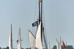 Débord de Loire, Evenement, Bateau