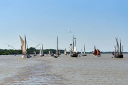 Débord de Loire, Evenement, Bateau