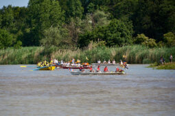 Débord de Loire, Evenement, Bateau