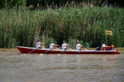 Débord de Loire, Evenement, Bateau