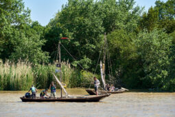 Débord de Loire, Evenement, Bateau