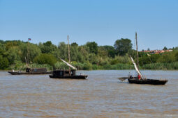 Débord de Loire, Evenement, Bateau