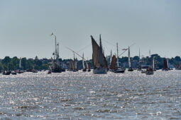 Débord de Loire, Evenement, Bateau