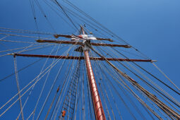 Bateau, L'Oosterschelde